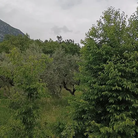 Frühstückspension Fattoria La Tana Della Volpe