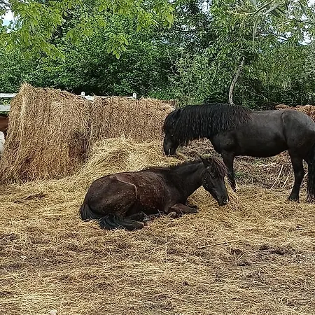 Frühstückspension Fattoria La Tana Della Volpe Pacentro