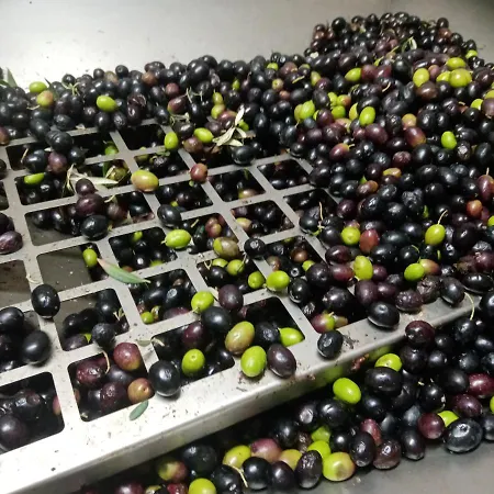 Fattoria La Tana Della Volpe Frühstückspension Pacentro