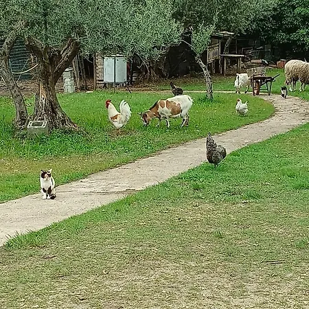 Fattoria La Tana Della Volpe *