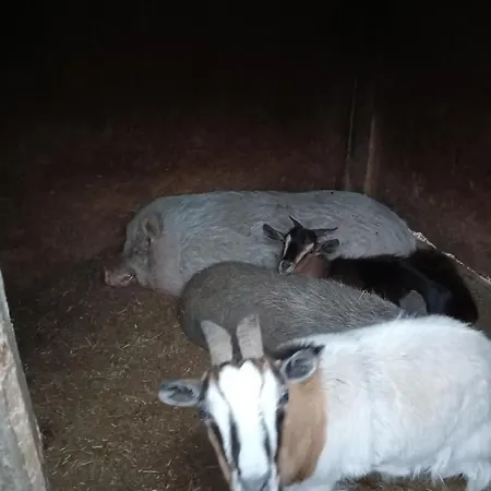 Fattoria La Tana Della Volpe 3*