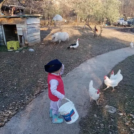 Fattoria La Tana Della Volpe Bed & Breakfast 3*