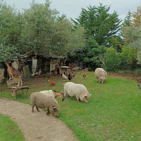 Fattoria La Tana Della Volpe