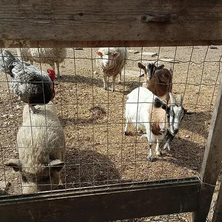 Fattoria La Tana Della Volpe 3*