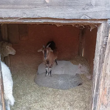 Fattoria La Tana Della Volpe *
