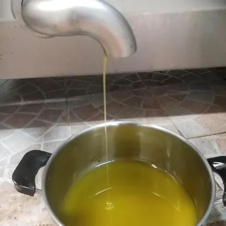 Fattoria La Tana Della Volpe