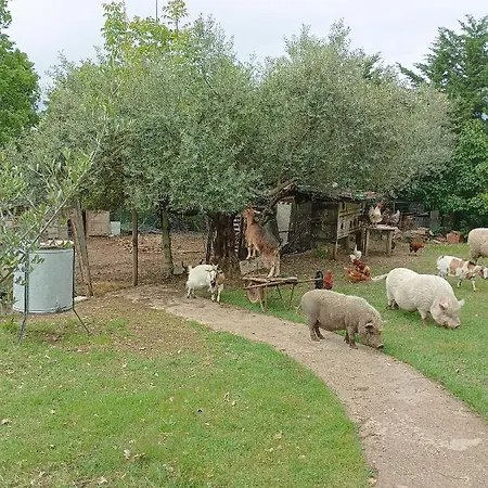 Fattoria La Tana Della Volpe 3* Pacentro
