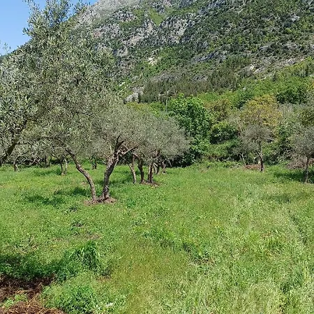 Fattoria La Tana Della Volpe 3*