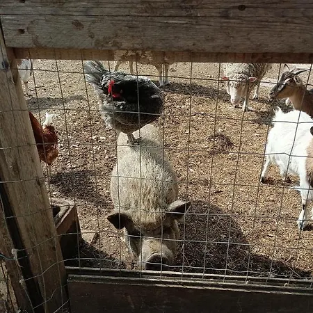 Fattoria La Tana Della Volpe 3*