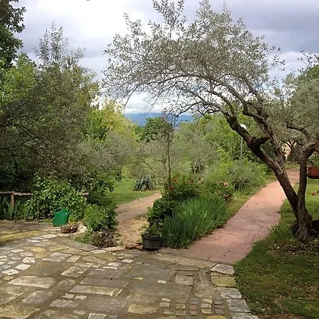 Fattoria La Tana Della Volpe