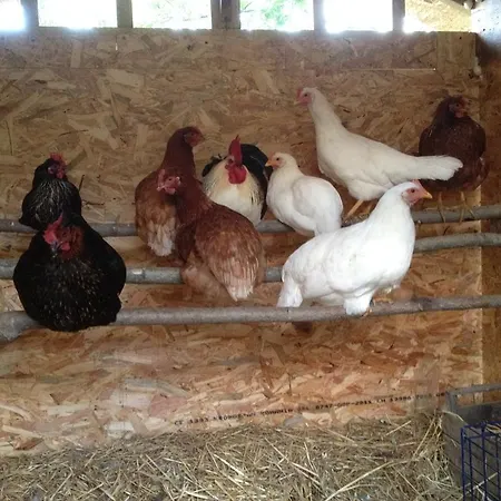 Fattoria La Tana Della Volpe