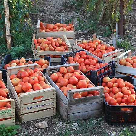 Fattoria La Tana Della Volpe