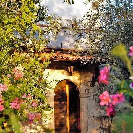 Fattoria La Tana Della Volpe Bed & Breakfast