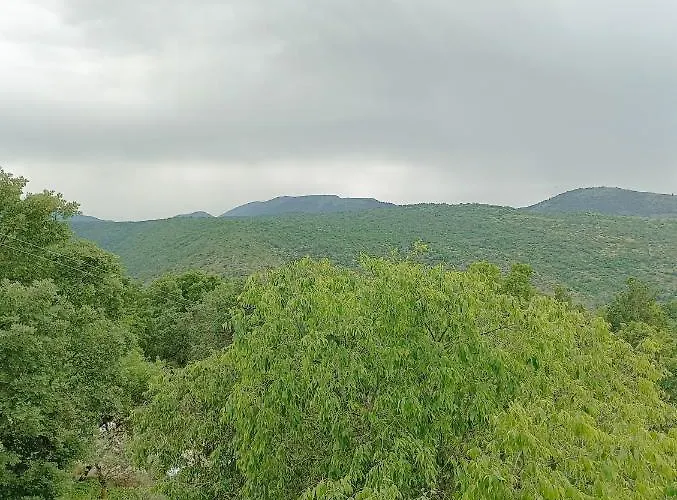 Fattoria La Tana Della Volpe Pacentro
