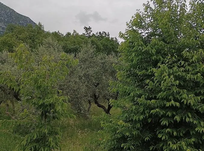 Frühstückspension Fattoria La Tana Della Volpe