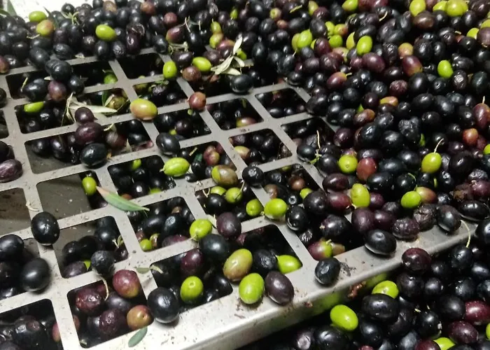 Fattoria La Tana Della Volpe Frühstückspension Pacentro