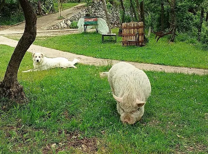 Frühstückspension Fattoria La Tana Della Volpe 3*