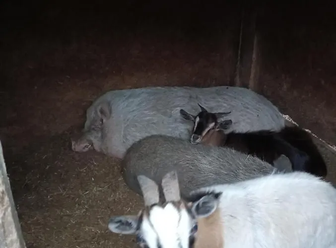 Fattoria La Tana Della Volpe 3*