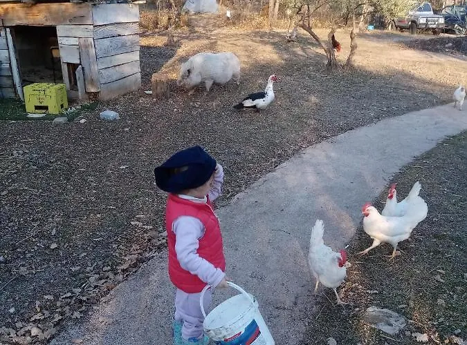 Fattoria La Tana Della Volpe Frühstückspension 3*