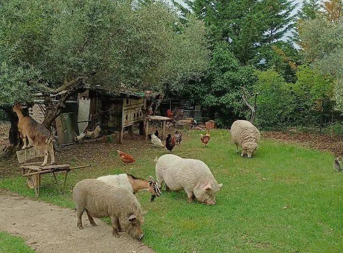 Fattoria La Tana Della Volpe