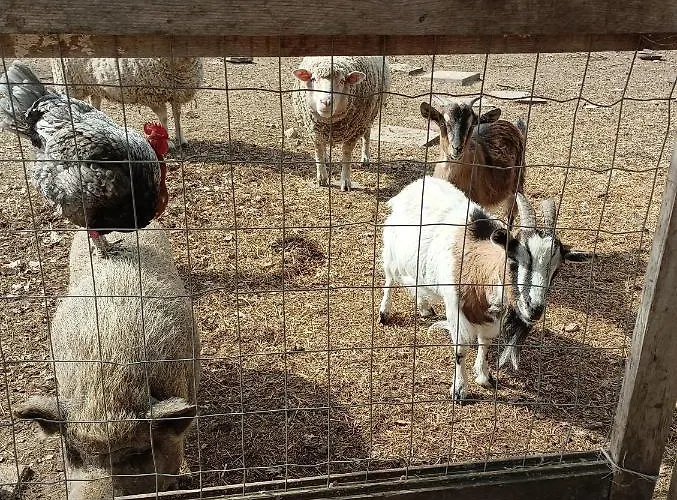 Fattoria La Tana Della Volpe 3*