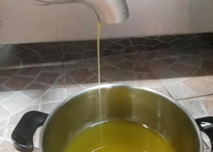 Fattoria La Tana Della Volpe