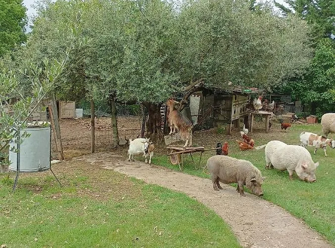 Fattoria La Tana Della Volpe 3* Pacentro