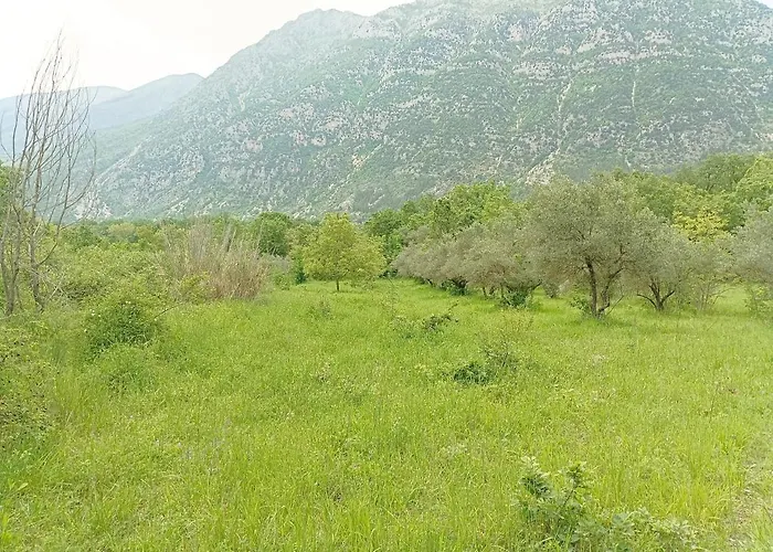 Frühstückspension Fattoria La Tana Della Volpe