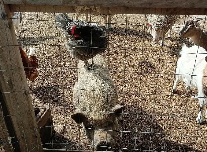 Fattoria La Tana Della Volpe 3*