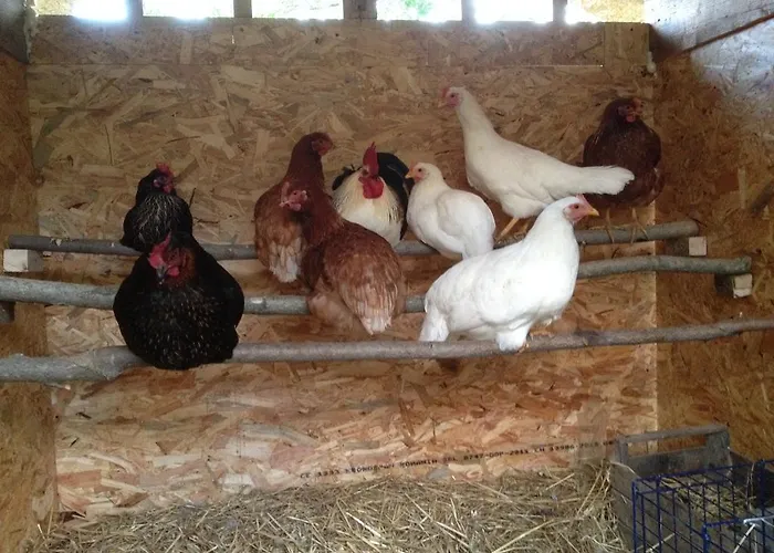 Fattoria La Tana Della Volpe