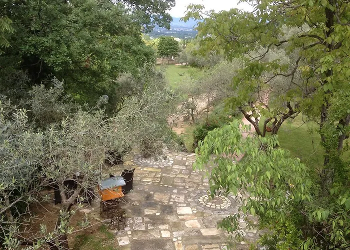 Fattoria La Tana Della Volpe