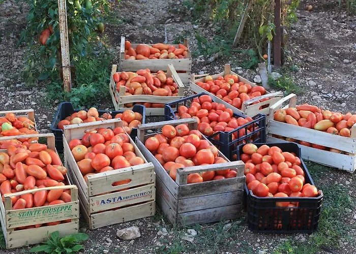 Fattoria La Tana Della Volpe