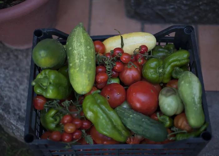 Frühstückspension Fattoria La Tana Della Volpe