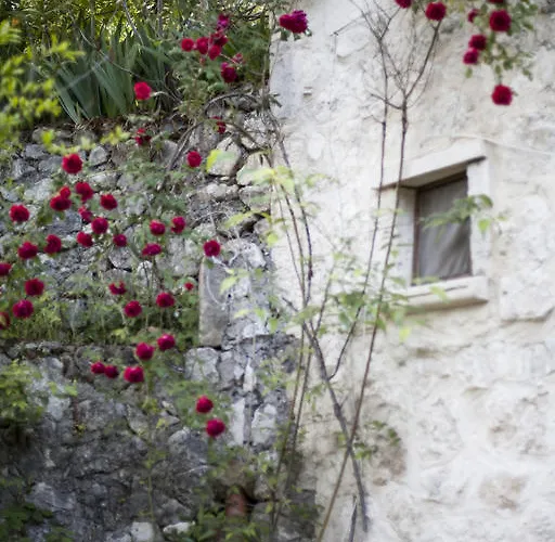 Fattoria La Tana Della Volpe